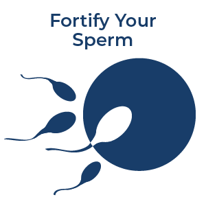 مکمل کمک باروری FHPRO for men، ساخت آمریکا، حاوی ترکیب جامعی از آنتی‌اکسیدان‌ها، ویتامین‌ها و مواد معدنی جهت بهبود کیفیت و سلامت اسپرم
