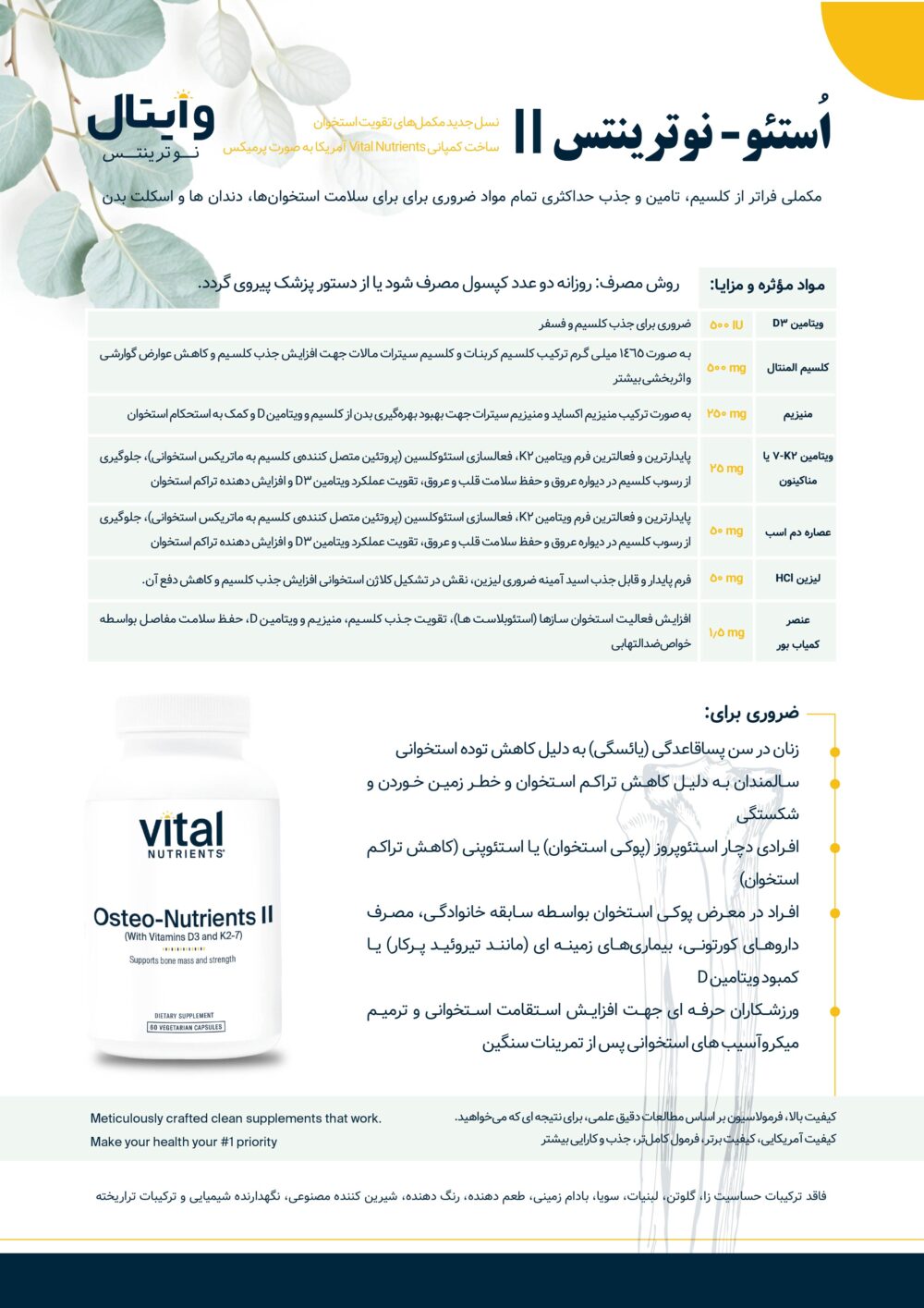 استئونوترینتس II