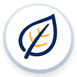 Icon1